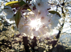 Погода в конце апреля в Морозовске заметно улучшится