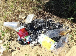 Загрязненные участки Морозовска решили поделить между школами и техникумом