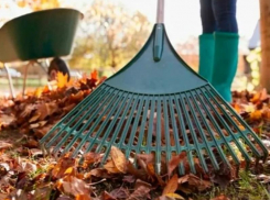 Морозовчан пригласили к участию в общерайонном субботнике 8 октября