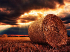 Облачно и жарко будет в Морозовске в четверг, 19 августа