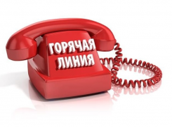 Специальную «горячую линию» для родителей школьников открыли в Ростовской области с 1 сентября