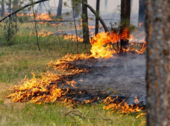 До +26 градусов тепла и высокую пожароопасность обещают жителям Морозовского района в четверг