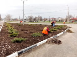 Город убирают или только делают вид
