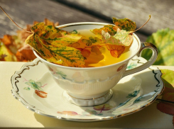 Днем тепло, ночью холодно будет всю неделю в Морозовске