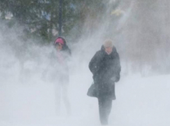 Морозовчане, приготовьтесь: 23 февраля грядет сильный мороз с метелью и гололедицей