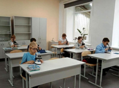 «Точка роста» в Парамоновской школе помогает ребятам лучше изучить биологию