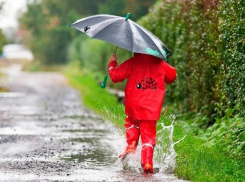 Прохладная и сырая погода сохранится в Морозовске на выходных
