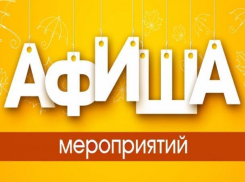 Мультфильм, драма и ... новый триллер: чем и где развлечься в Морозовске на этой неделе