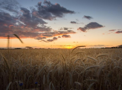 Температура воздуха в Морозовске понизится на пару градусов