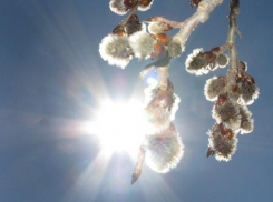 Тепло и солнечно будет в Морозовске в субботу, 1 апреля 