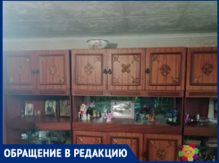 По возвращении в квартиру после дачного сезона бабушку ждал неприятный сюрприз, - морозовчанка 