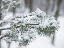 Сильный ветер и снег сохранится в Морозовске и четверг