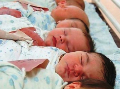 Повышением рождаемости вплотную занялись власти на Дону