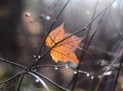 Сыро и холодно будет в Морозовске во вторник, 14 ноября