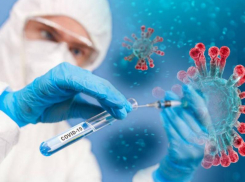 11 января: число заболевших в Морозовском районе увеличилось на пять человек