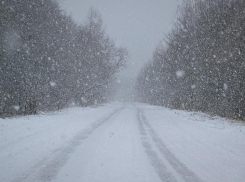 Снегопад и до +1 градуса тепла обещают морозовчанам во вторник, 26 февраля