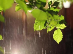 Небольшой дождь возможен в Морозовске вечером, 30 июня