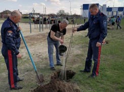 Более 60 саженцев молодых деревьев высадили казаки Морозовского юрта в рамках акции «Сад памяти»