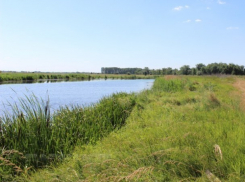 Вопрос-ответ: Безопасно ли купаться и ловить рыбу в реке Быстрой?