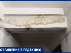 Несмотря на предписание прокуратуры, ЖКХ бездействует, - морозовчанка о плесени в многоквартирном доме