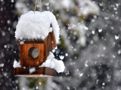 Небольшой снегопад обещают морозовчанам в среду, во второй половине дня