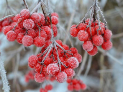Облачно и до -3: погода в Морозовске не меняется