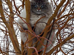 Всего 5 градусов тепла обещают морозовчанам в субботу, 26 ноября