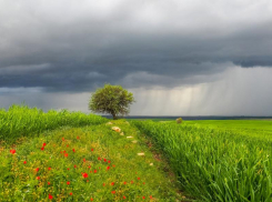 В субботу, 20 мая в Морозовске станет прохладнее