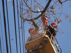 Обрезка деревьев оставит без света жителей одиннадцати улиц и переулков Морозовска