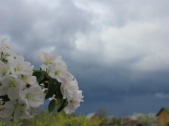 Теплым и пасмурным станет для морозовчан первый день трудовой недели