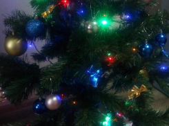 Правильно наряжать елку посоветовали морозовчанам в городской администрации