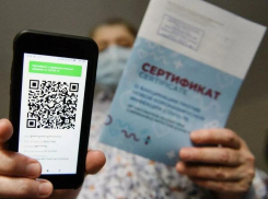 Просто технический глюк: срок действия QR-кодов на Госуслугах изменился с года до полугода по ошибке