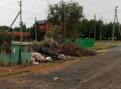 «Убрали - а через 10 дней снова мусор»: в Морозовске призвали жителей не создавать стихийные свалки