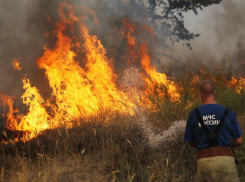 Экстренное предупреждение о 40-градусной жаре пришло от Ростовского Гидрометцентра
