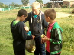 Письмо в редакцию: Ребята в хуторе Морозов отправились в гости к природе