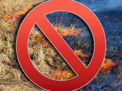 Пал сухой травы недопустим, - начальник Морозовского пожарно-спасательного гарнизона Владимир Попов