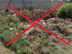 Согласно правилам благоустройства несанкционированное складирование отходов около мусорных контейнеров запрещается, - глава городской администрации