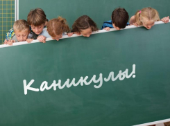 Первоклассники 22 школ Морозовского района уйдут на недельные каникулы в феврале