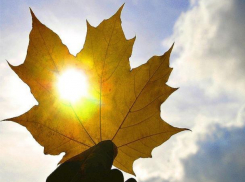 Теплую и солнечную погоду обещают синоптики морозовчанам в четверг, 20 сентября