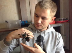 Житель Морозовского района держит дома ядовитых пауков, тараканов и змей