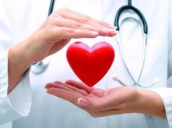 Болезнями сердца и сосудов в России страдают более 24 миллионов человек
