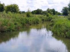 По факту гибели рыбы в акватории реки Быстрой в Морозовске возбудили дело об административном правонарушении