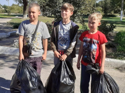 Жители станицы Вольно-Донской присоединись к акции «Всемирный день чистоты»