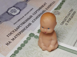 Размер ежемесячной выплаты из средств материнского капитала в Ростовской области увеличен до 11 099 рублей