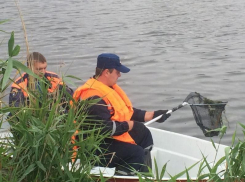 Мертвую рыбу из реки Быстрой в Морозовске выловили спасатели