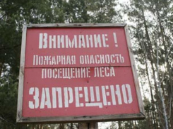 Запрет на посещение леса на Дону продлили до 20 августа