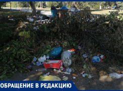 «Всё это будет плавать и квакать!» - морозовчанка попросила коммунальные службы чаще убирать мусор на улице Руднева возле баков