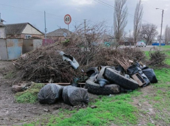 Городские власти попросили морозовчан сообщать о нарушителях, складирующих мусор около баков