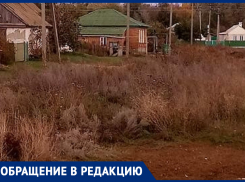 Администрация Морозовского района не выполняет свои обещания! - хуторянин о нескошенной траве 