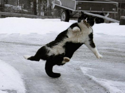 Ночью снег, днем в Морозовске будет без осадков